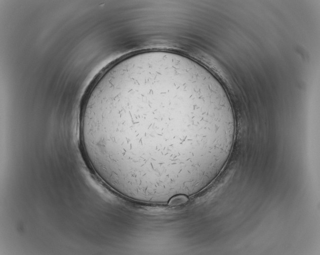 X0000113301132200910131042