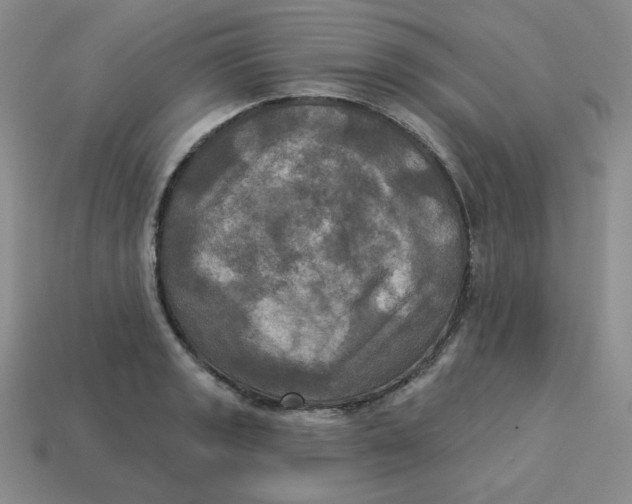 X0000113301133200910131042