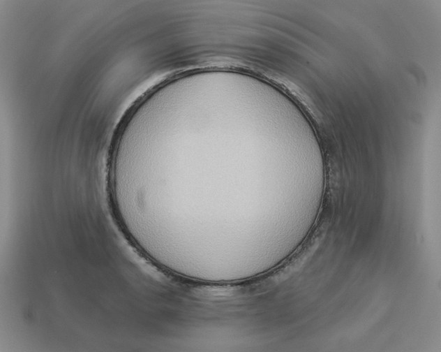X0000113301134200910131042