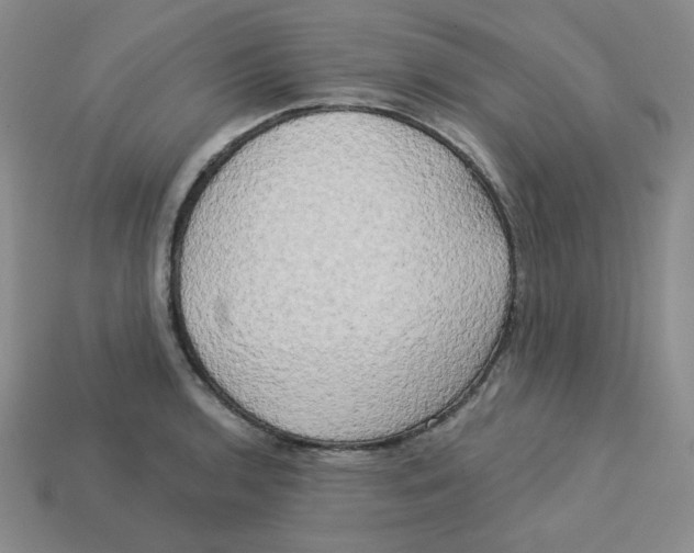 X0000113301136200910131042