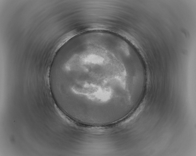 X0000113301137200910131042