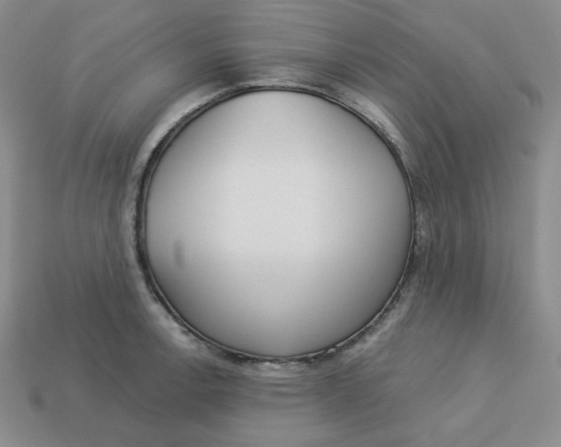 X0000113301138200910131042