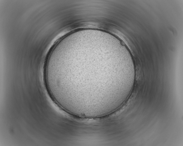 X0000113301139200910131042