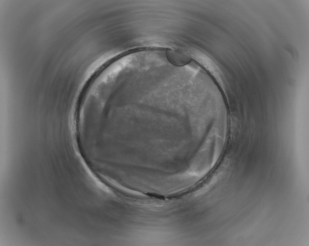 X0000113301141200910131042