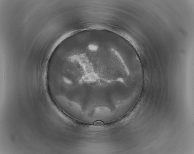 X0000113301142200910131042