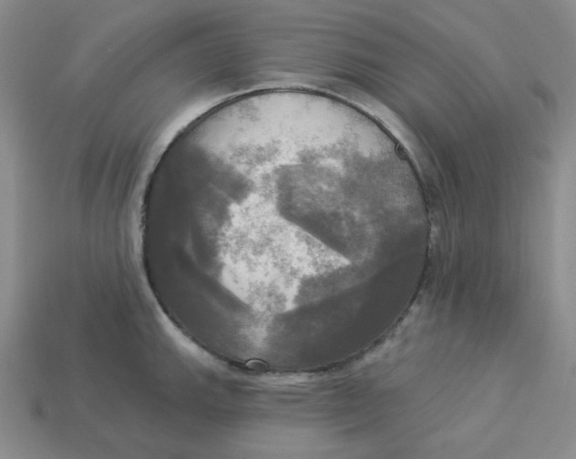 X0000113301143200910131042