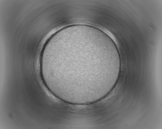 X0000113301144200910131042