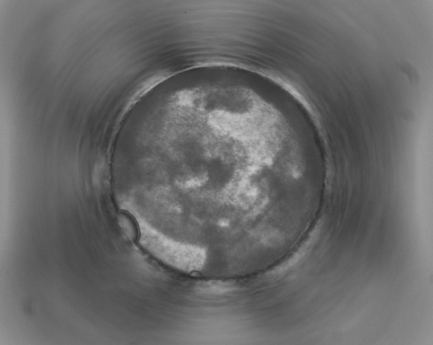 X0000113301145200910131042
