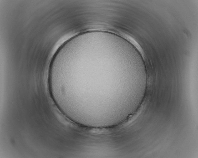 X0000113301146200910131042