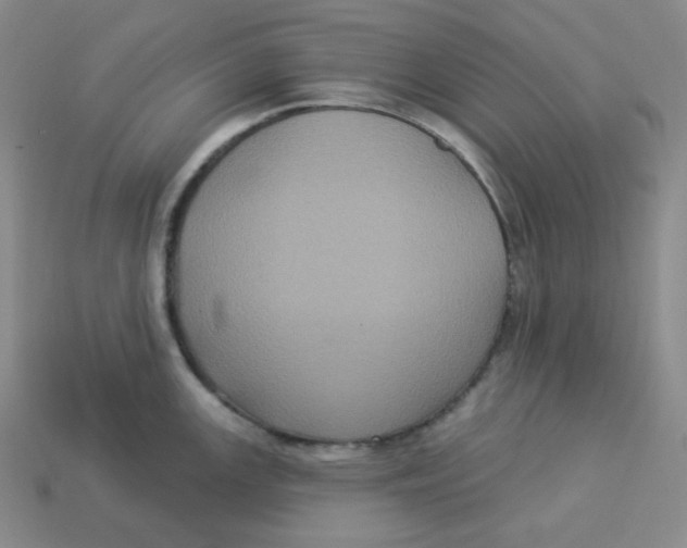 X0000113301147200910131042