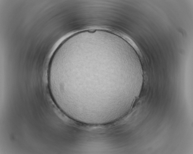 X0000113301148200910131042