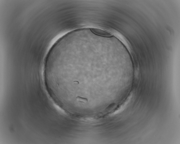 X0000113301149200910131042