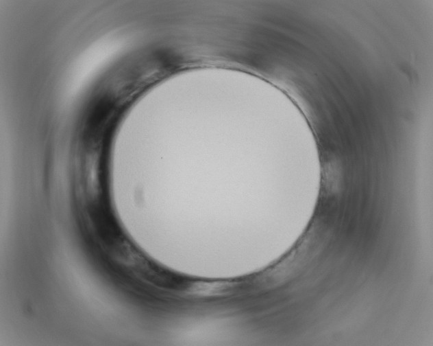 X0000113301150200910131042