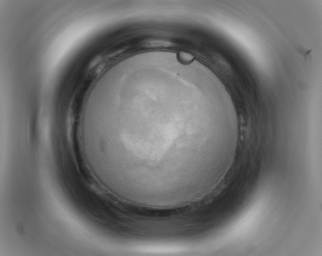 X0000113301151200910131042