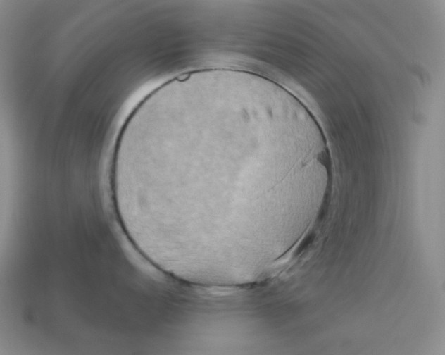 X0000113301152200910131042