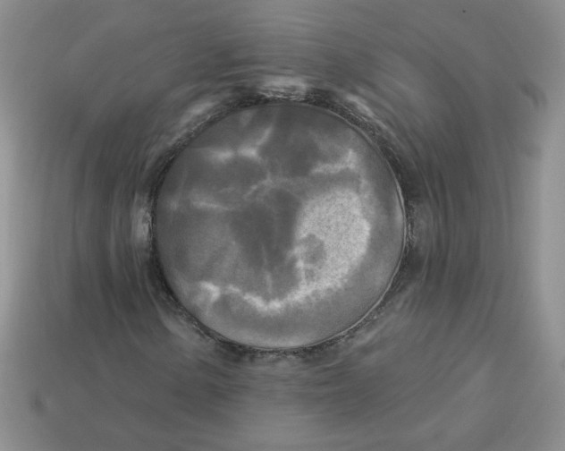 X0000113301154200910131041