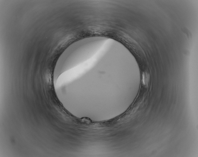 X0000113301155200910131041