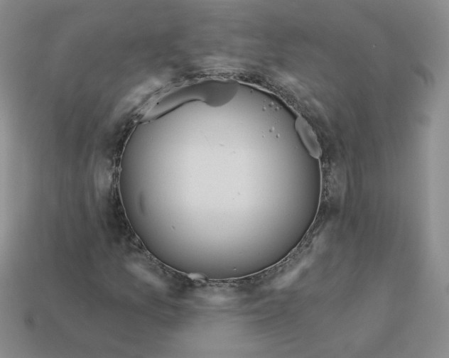 X0000113301157200910131041