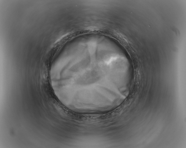 X0000113301158200910131041
