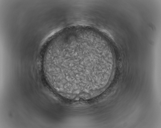 X0000113301159200910131041