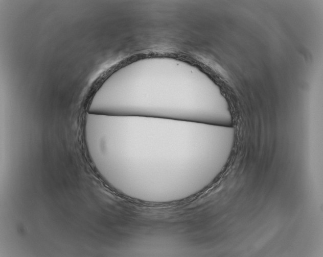 X0000113301160200910131041