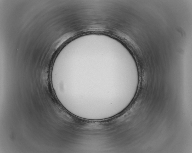 X0000113301162200910131041