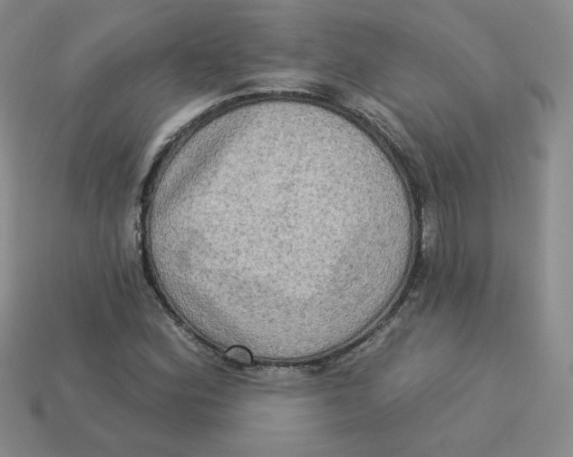 X0000113301164200910131041