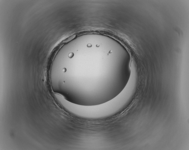 X0000113301165200910131041