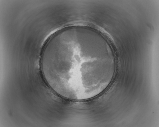X0000113301166200910131041