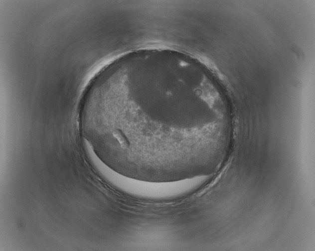 X0000113301167200910131041