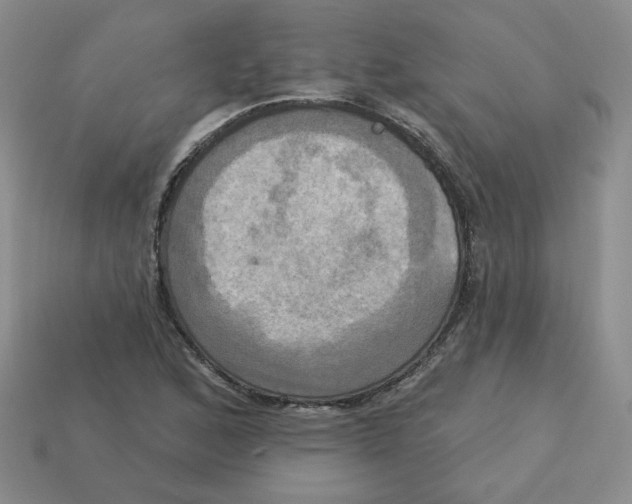 X0000113301168200910131041