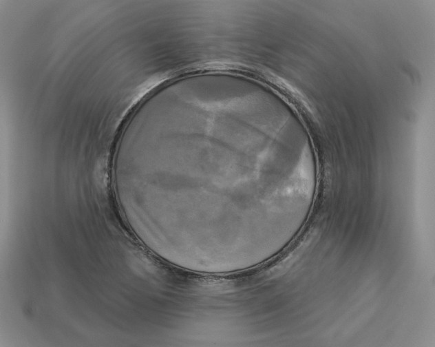 X0000113301170200910131041