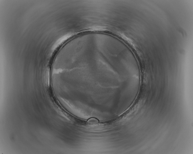 X0000113301171200910131041
