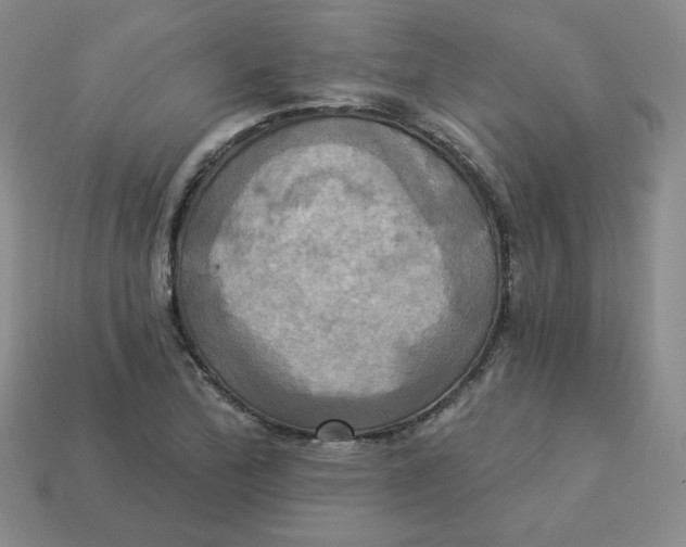 X0000113301172200910131041
