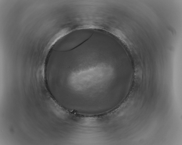 X0000113301173200910131041