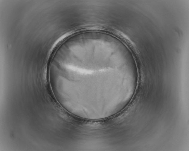 X0000113301174200910131041