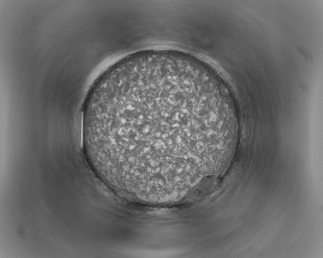 X0000113301175200910131041