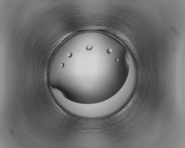 X0000113301177200910131041