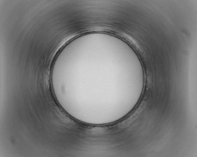 X0000113301178200910131041