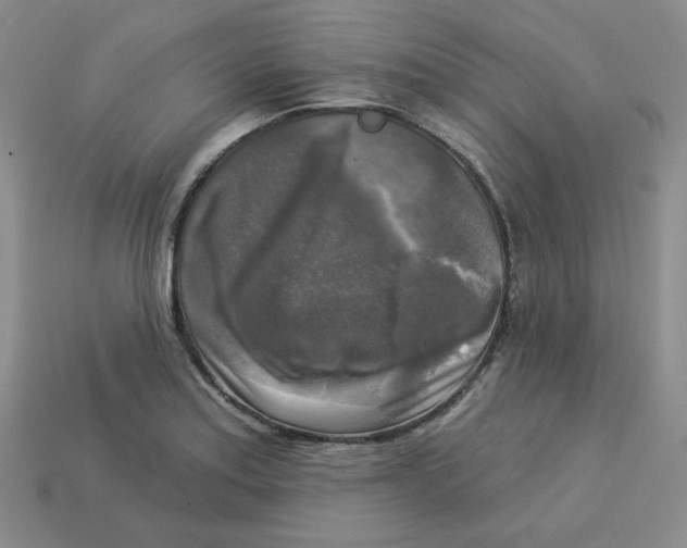 X0000113301179200910131041