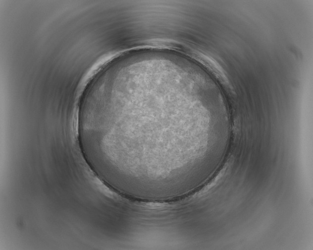 X0000113301180200910131041