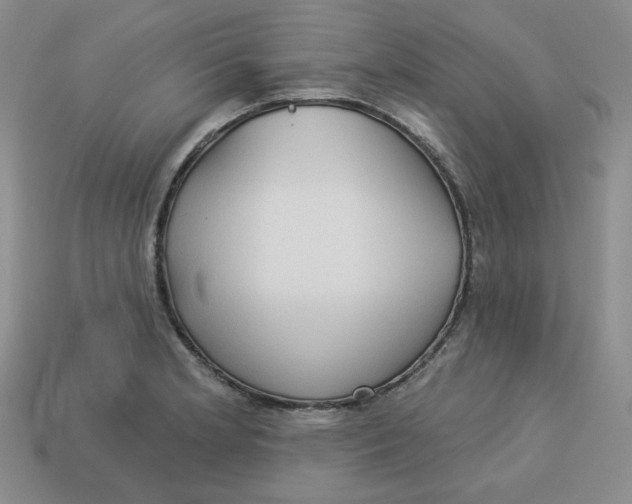 X0000113301181200910131041