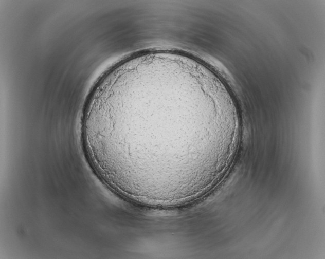 X0000113301183200910131041