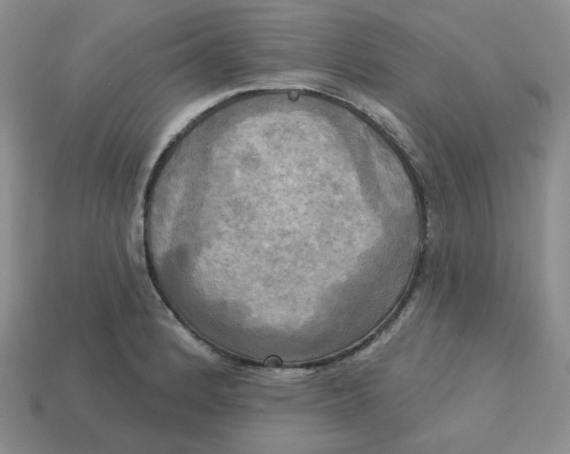 X0000113301184200910131041