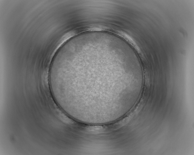 X0000113301186200910131041