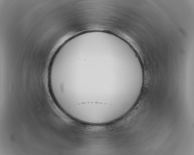 X0000113301187200910131041
