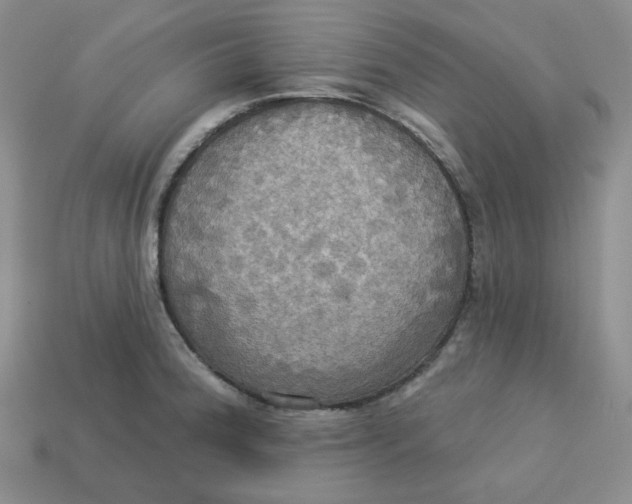 X0000113301188200910131041