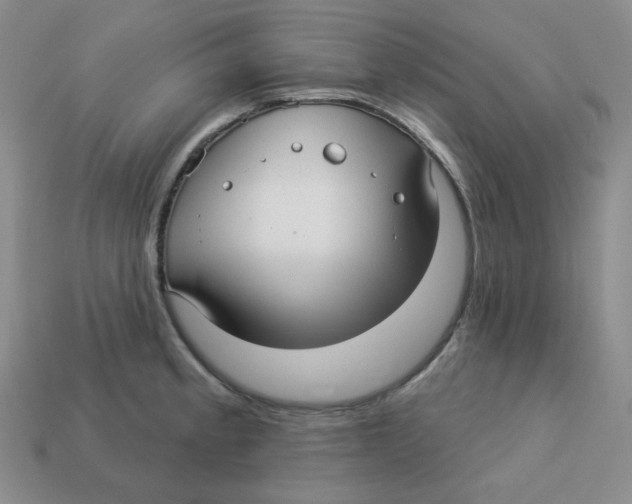 X0000113301189200910131041