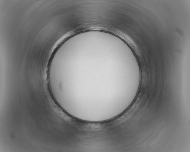 X0000113301190200910131041