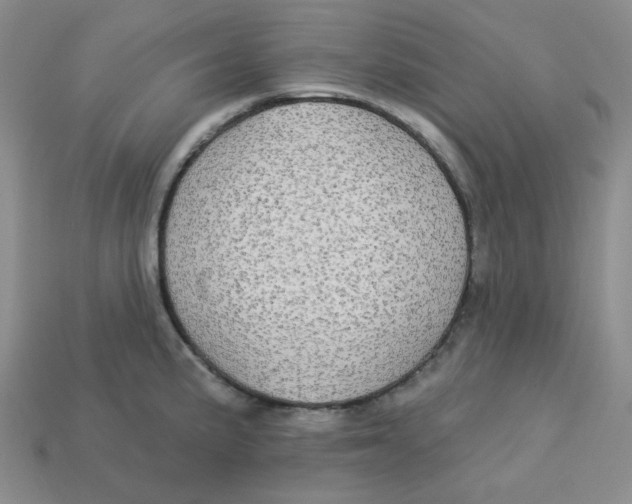 X0000113301191200910131041